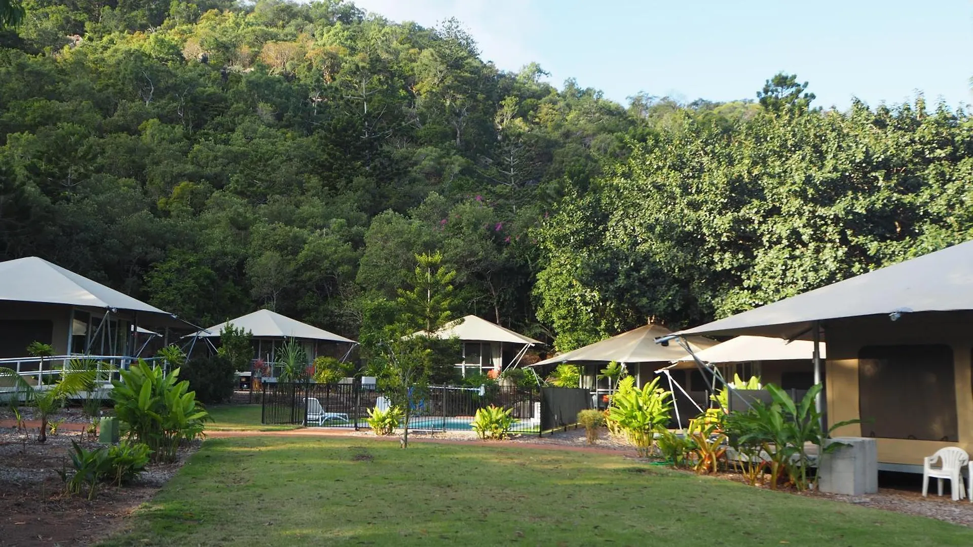 King Safari Tent 9 Nelly Bay Resort